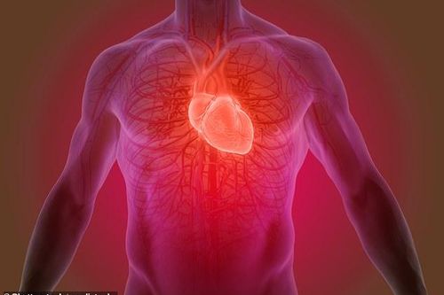 Loại keo thần kỳ có thể 'vá' mô tổn thương cho người bị đau tim