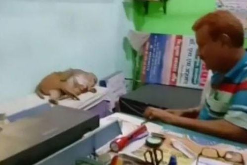 Phòng khám tư nhân đón vị khách đặc biệt khiến bác sĩ hốt hoảng nhưng vẫn tận tình cứu chữa
