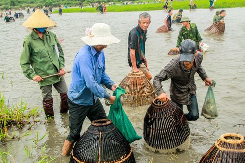 Lễ hội bắt cá vui nhộn ở Hà Tĩnh