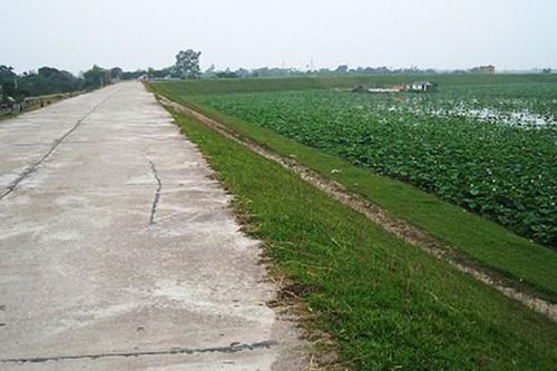 Họp bàn việc quản lý đê nhân mùa lũ