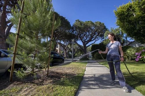 Niềm tự hào của California bị đe dọa vì thiếu nước