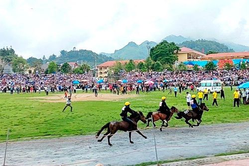 Chung kết Giải đua ngựa độc đáo trên cao nguyên Bắc Hà