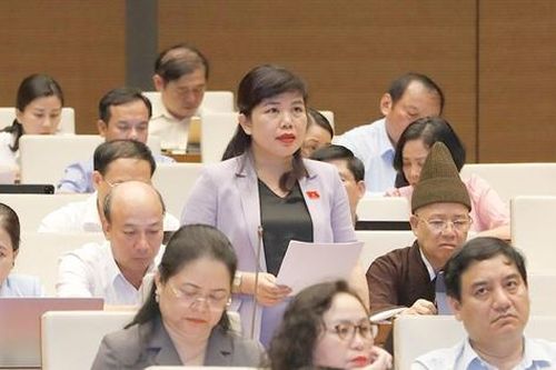Đại biểu Quốc hội tranh luận 'bỏ' hay 'giữ' Thanh tra cấp huyện