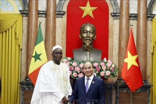 Tăng cường quan hệ hữu nghị và hợp tác với Croatia và Senegal