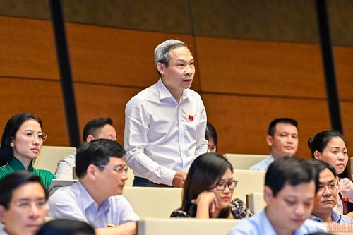Tránh biến thanh tra thành 'ma trận' làm khó doanh nghiệp