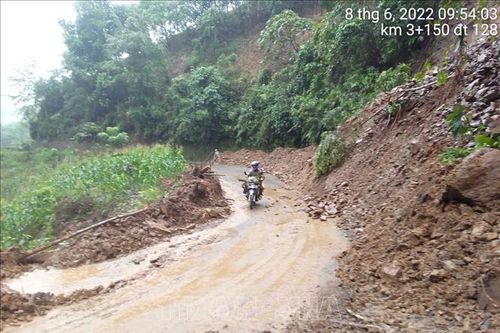 Lai Châu: Đảo đảm giao thông thông suốt trong mùa mưa lũ