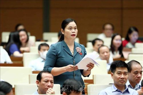 Quốc hội thảo luận về dự án Luật Thanh tra (sửa đổi)