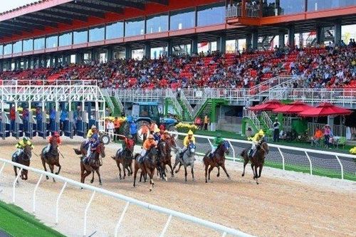 Hà Nội báo cáo Thủ tướng về dự án trường đua ngựa gần 10.000 tỷ đồng