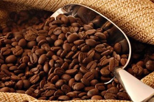 Đẩy mạnh xuất khẩu thực phẩm sang thị trường Châu Phi