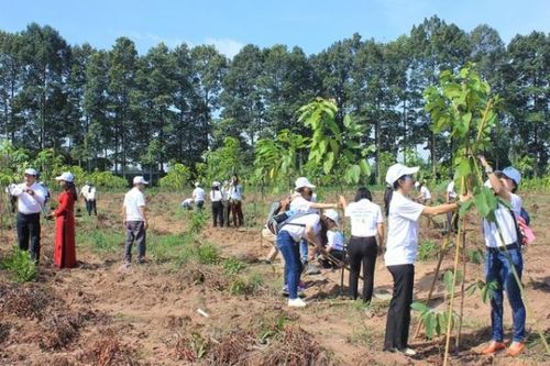 Quản lý chất thải tại doanh nghiệp: Cơ sở hình thành kinh tế tuần hoàn
