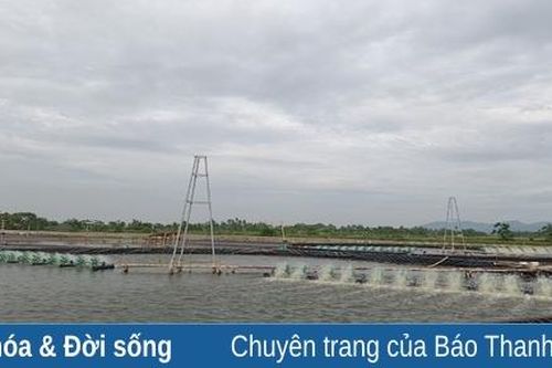 Nghề nuôi trồng thủy sản ở Hoằng Đạt