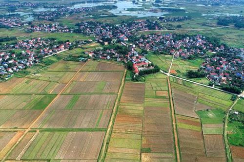 Hà Nội xin gỡ khó việc thu hồi đất dự án trường đua ngựa 500 triệu USD