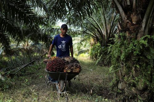 Doanh nghiệp Malaysia chật vật trước các đơn hàng tỷ USD do thiếu lao động