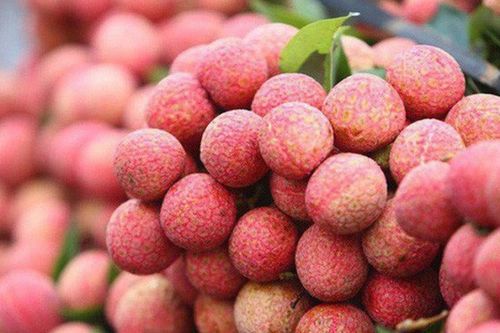 Ứng dụng nền tảng số đưa vải thiều Việt Nam ra thế giới