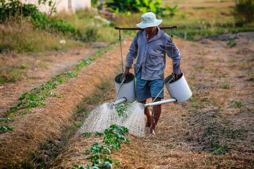 Mở hội nghị giao thương để thúc đẩy thực phẩm Việt vào châu Phi
