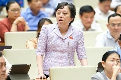 Thanh tra theo kế hoạch mà còn báo trước thì không thể hoàn thành nhiệm vụ