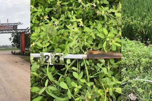 Hỗn chiến trong đêm ở Bắc Giang: Tạm giữ 12 người, thu 3 khẩu súng