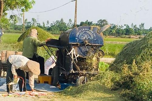 Tìm đầu ra cho rơm rạ ở nông thôn - Bài toán cần lời giải