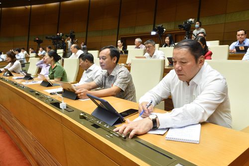 Quốc hội thông qua hai nghị quyết về việc Thành lập Đoàn giám sát chuyên đề và Luật Cảnh sát cơ động
