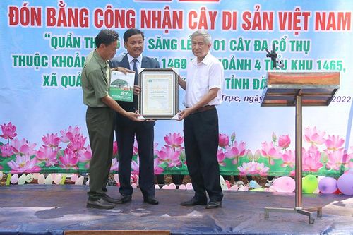 Công nhận quần thể Cây di sản Việt Nam tại Đắk Nông