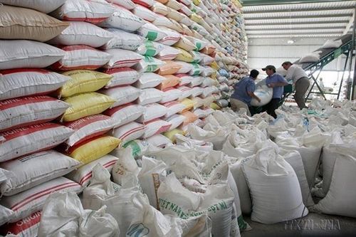 Kết nối hợp tác kinh doanh và xuất khẩu thực phẩm sang châu Phi