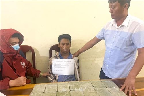Bắt đối tượng mua bán, vận chuyển 14 bánh heroin