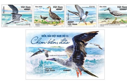 Phát hành bộ tem 'Biển, đảo Việt Nam: Chim biển, đảo'