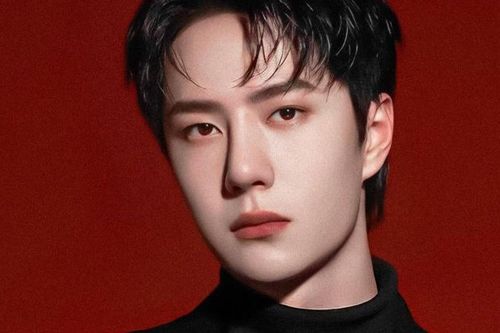 Studio do Vương Nhất Bác đứng tên dừng hoạt động, anti-fan hả hê cà khịa nhưng đây mới là điều sốc nhất