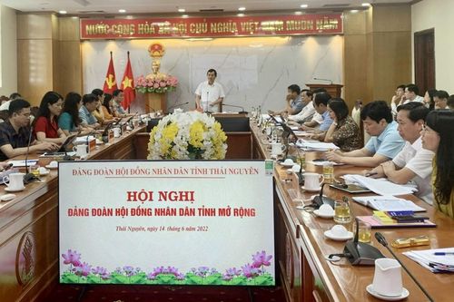 Thống nhất một số nội dung tại kỳ họp chuyên đề HĐND tỉnh
