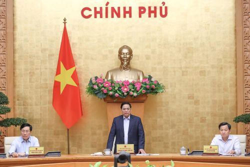 Triển khai đồng bộ chương trình phục hồi và phát triển kinh tế - xã hội