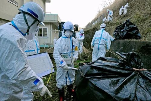 Những người đầu tiên quay về 'thị trấn ma' ở Fukushima