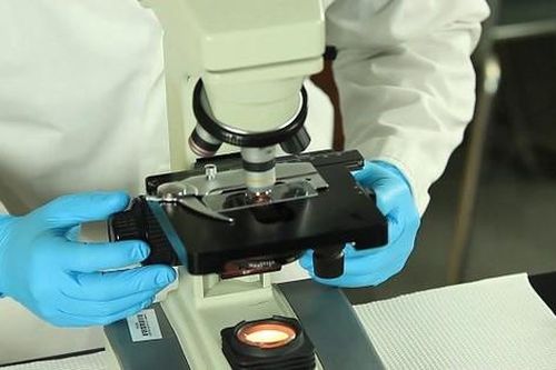 Phát hiện sớm bệnh gan nhiễm mỡ không do rượu