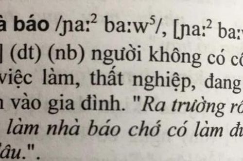 Tranh cãi cách diễn giải từ 'nhà báo' trong cuốn 'Từ ngữ Nam Bộ'