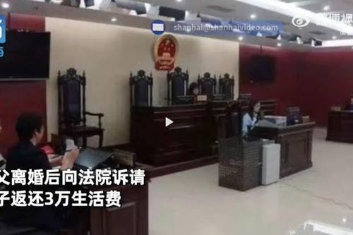 Người đàn ông kiện con của vợ cũ để đòi tiền nuôi nấng