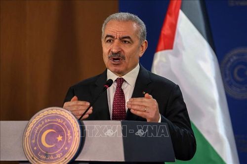 Palestine tái khẳng định giải pháp hai nhà nước chấm dứt xung đột với Israel