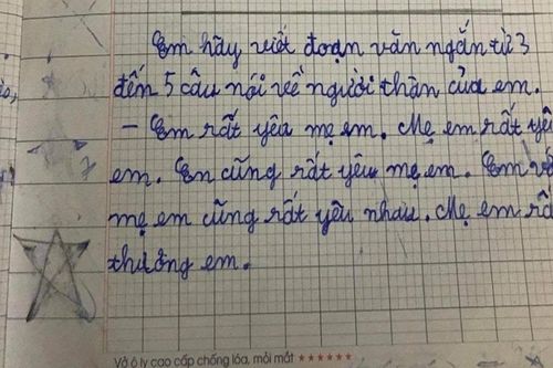 'Lạc đề hay xứng đáng điểm 10', bài văn của cậu bé tiểu học khiến dân mạng thắc mắc