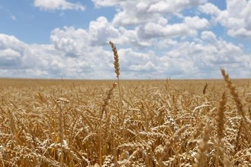 Vì sao Hoa Kỳ phản đối tịch thu tài sản của Nga để chuyển cho Ukraine?