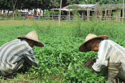 Phạm nhân từng trốn trại không được lao động ngoài trại giam