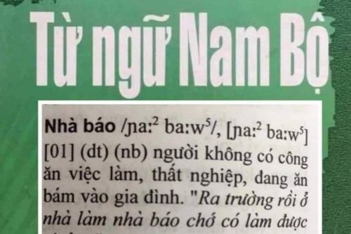 Nhà xuất bản phản hồi về từ điển nói nhà báo 'ăn bám, thất nghiệp'