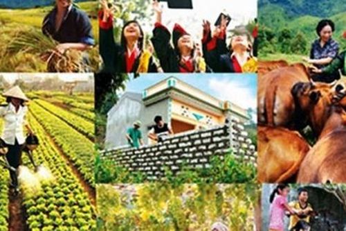 Hỗ trợ đa dạng hóa sinh kế, phát triển mô hình giảm nghèo
