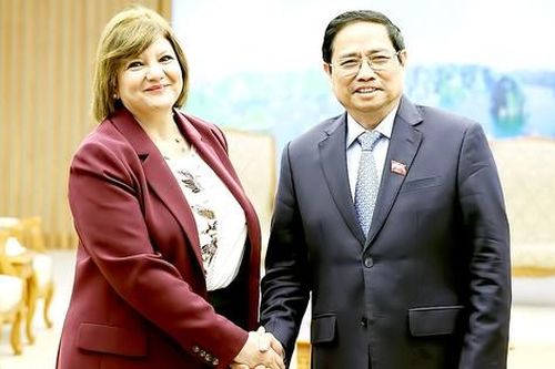 Đưa kim ngạch thương mại Việt Nam - Ai Cập lên mức 1 tỷ USD/năm