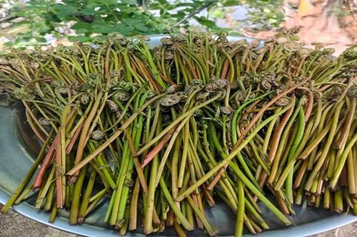 Thứ mọc dại ăn 'cứu đói' bỗng thành đặc sản