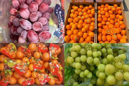 Hoa quả Úc 'siêu rẻ' dội chợ Việt, chị em tấp nập đặt mua