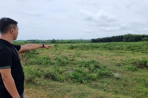 Quảng Trị: Thị trường đất 'hạ nhiệt', đấu giá cao ngất ngưởng rồi... bỏ cọc!