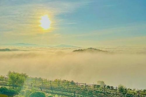 Mộng mơ với đồi Mây Đà Lạt