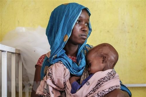 Ethiopia: Tỷ lệ trẻ em bị suy dinh dưỡng tăng vọt do hạn hán kéo dài