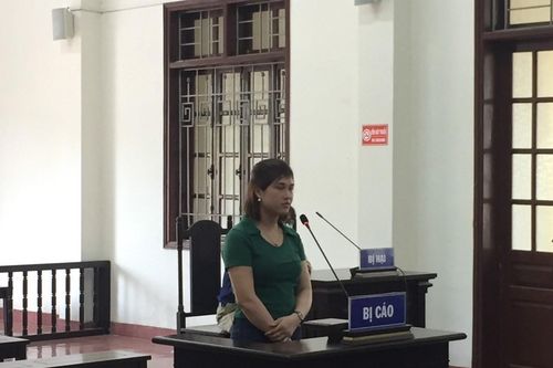 Lừa bán hoa lan đột biến, cô gái sinh năm 1992 lĩnh án 7 năm tù