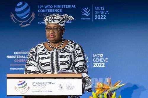 Hội nghị bộ trưởng WTO kéo dài trong nỗ lực đạt một số thỏa thuận