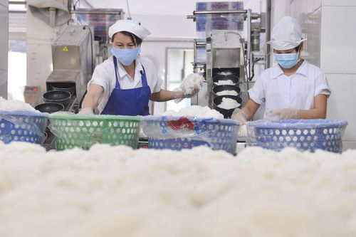 Nỗ lực của Bộ Công Thương thúc đẩy EU gỡ kiểm soát với bún, miến, phở