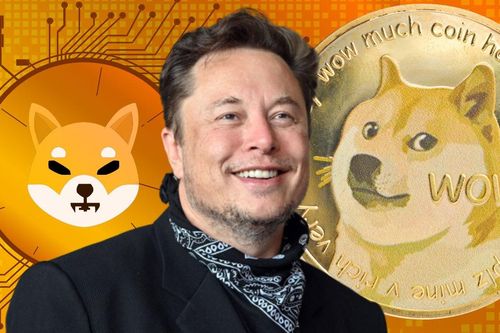 Elon Musk bị đòi bồi thường 258 tỷ USD vì thao túng Dogecoin